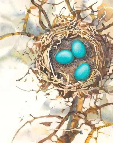 Watercolor bird nest illustration