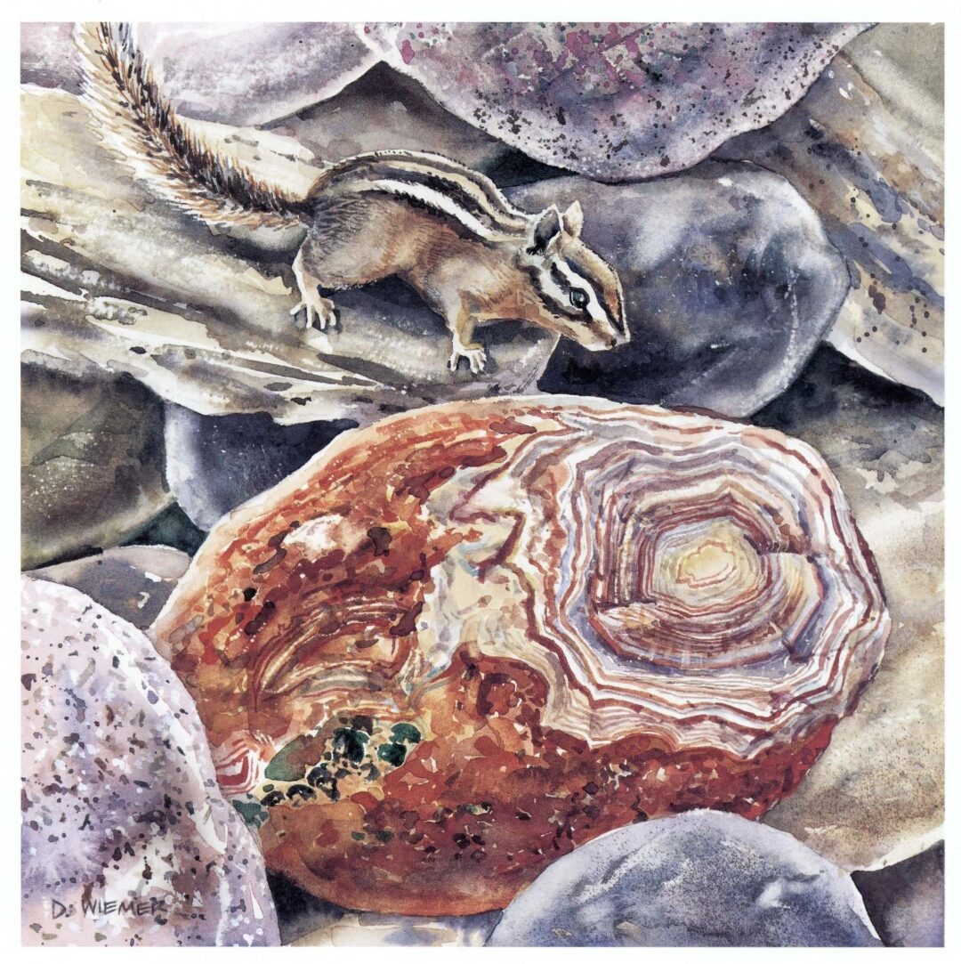 Small chipmunk on rocky terrain