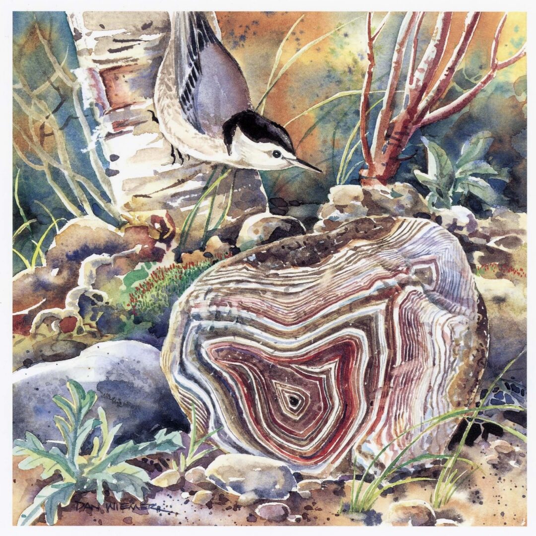 Watercolor painting of bird and rock.