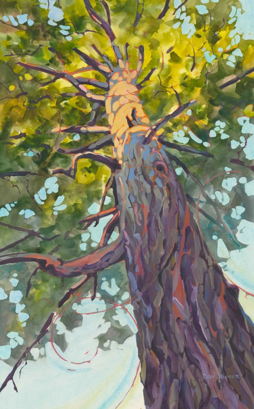 Artistic depiction of a tree's perspective