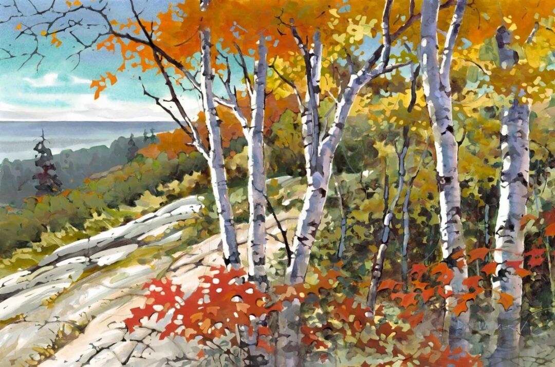Autumn birch trees with colorful leaves