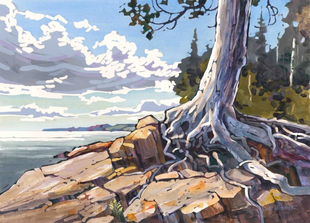 Coastal landscape with tree and rocks
