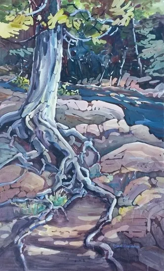 Scenic forest with tree and flowing water