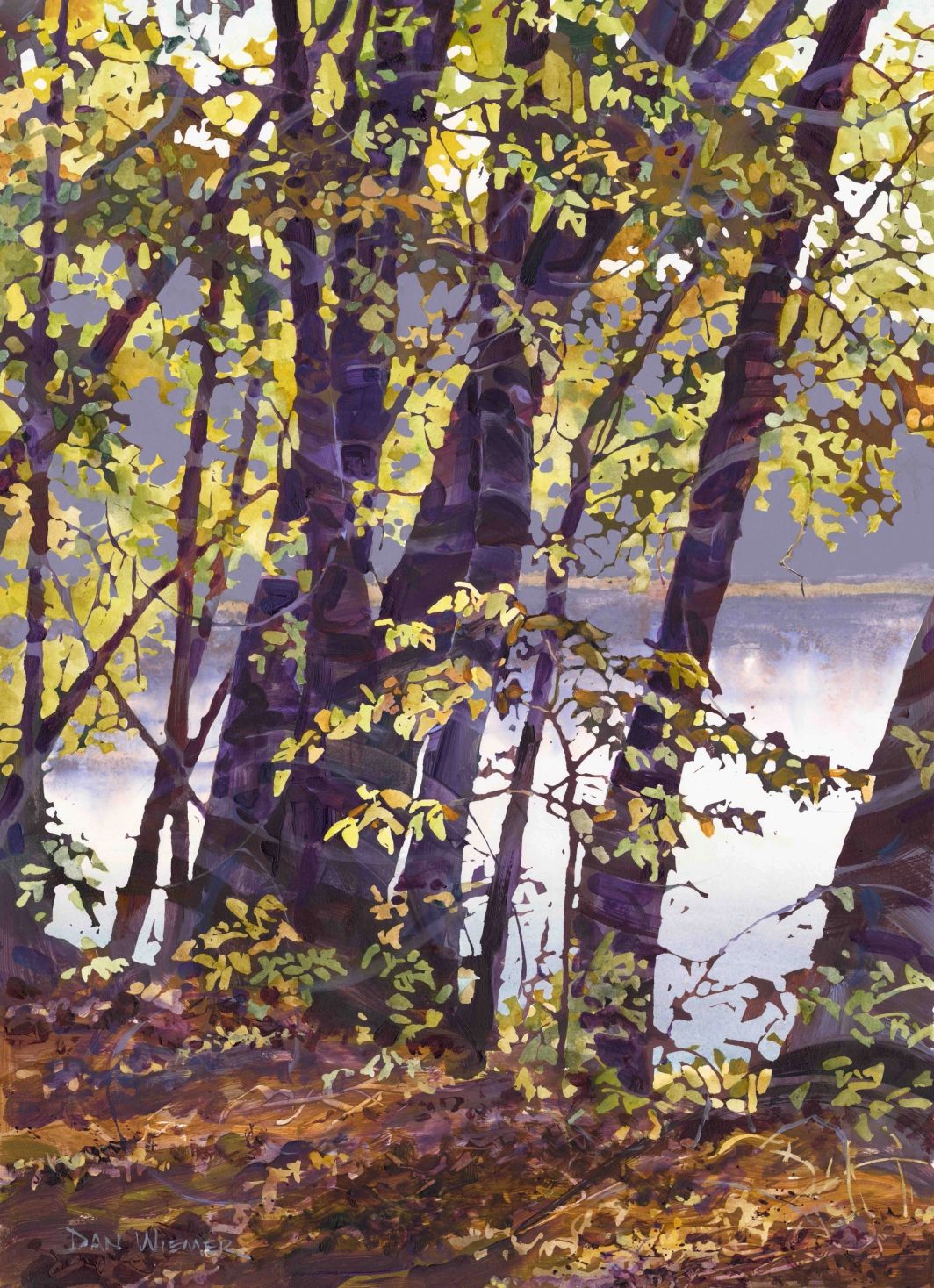 Tranquil woodland view with reflections on water.