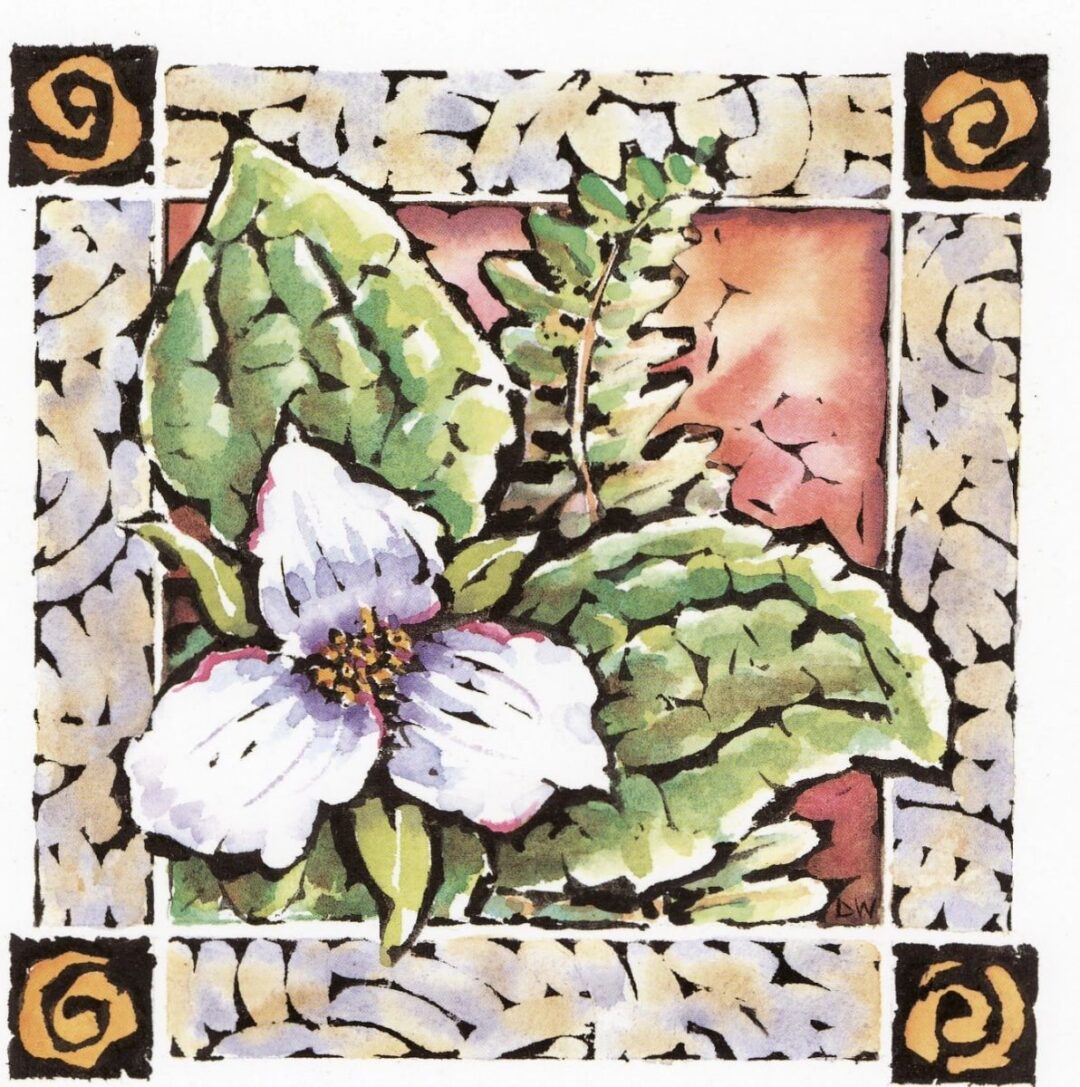 Botanical artwork with white flower