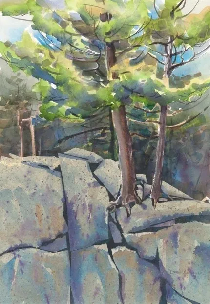 Watercolor painting of trees and rocks